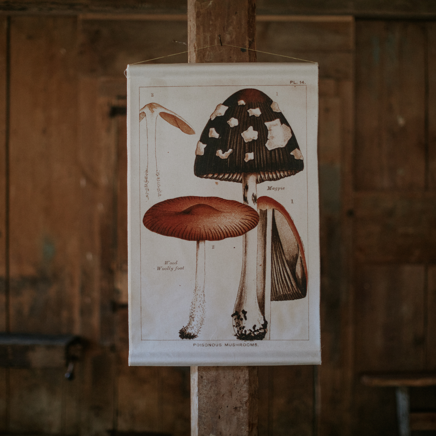 Magpie Mushroom - Canvas Wall Hanging